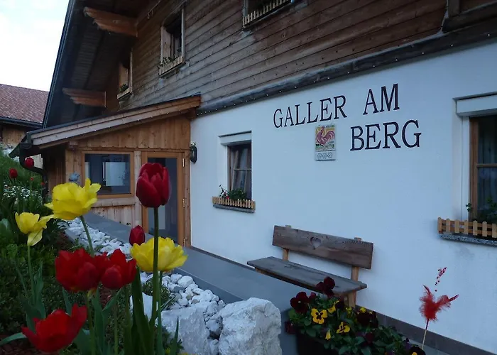  Galler Am Berg
